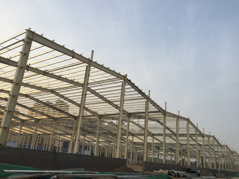 深州瑞豐動力 五連跨車間 多跨鋼架
