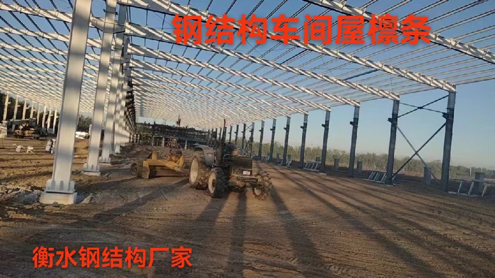 衡水鋼結構廠家 金鼎鋼構  鋼結構車間屋面檁條