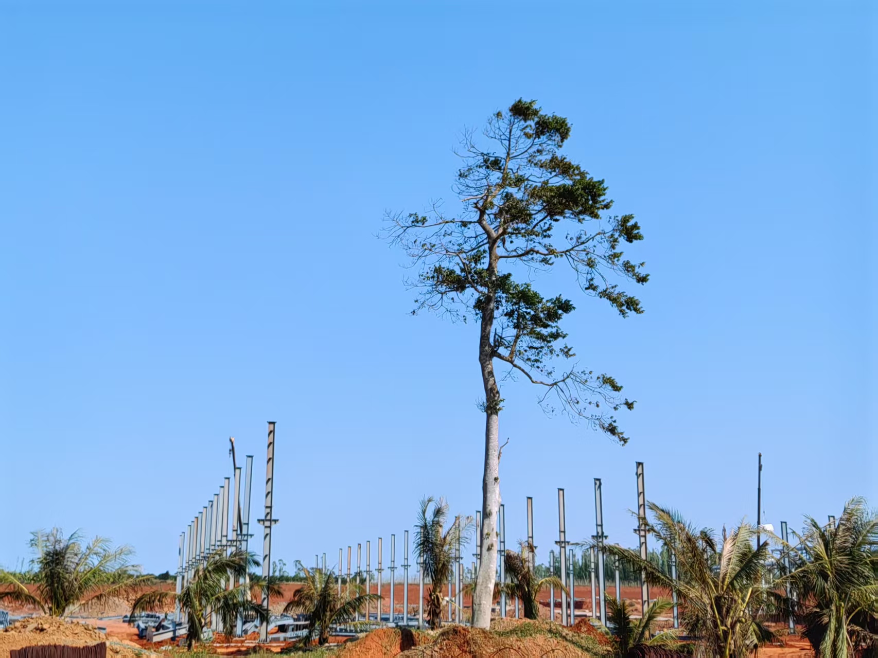 廠房鋼結(jié)構(gòu)廠家 立柱